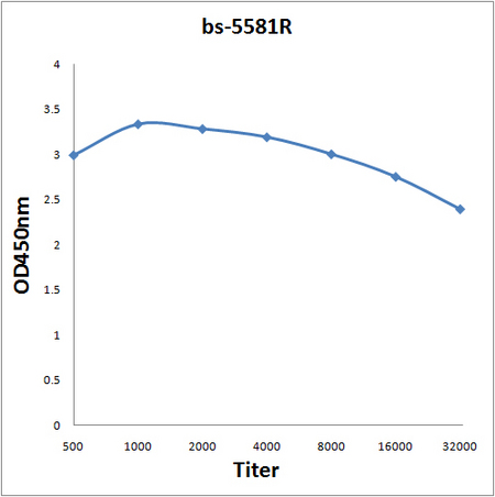 Antigen: bs-5581P, 0.2ug/100ul \nPrimary: Antiserum, 1:500, 1:1000, 1:2000, 1:4000, 1:8000, 1:16000, 1:32000; \nSecondary: HRP conjugated Goat Anti-Rabbit IgG(bs-0295G-HRP) at 1: 5000; \nTMB staining; Read the data in Microplate Reader by 450nm\n