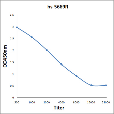 Antigen: bs-5669P, 0.2ug/100ul \nPrimary: Antiserum, 1:500, 1:1000, 1:2000, 1:4000, 1:8000, 1:16000, 1:32000; \nSecondary: HRP conjugated Goat Anti-Rabbit IgG(bs-0295G-HRP) at 1: 5000; \nTMB staining; Read the data in Microplate Reader by 450nm\n