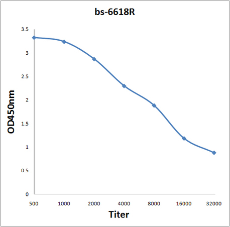 Antigen: bs-6618P, 0.2ug/100ul \nPrimary: Antiserum, 1:500, 1:1000, 1:2000, 1:4000, 1:8000, 1:16000, 1:32000; \nSecondary: HRP conjugated Goat-Anti-Rabbit IgG(bs-0295G-HRP) at 1: 5000;\nTMB staining;\nRead the data in MicroplateReader by 450