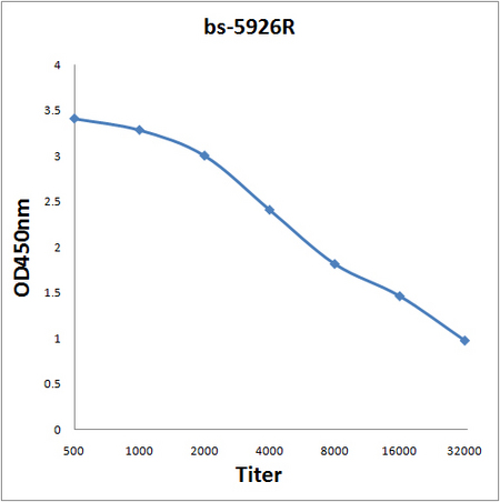 Antigen: bs-5926P, 0.2ug/100ul \nPrimary: Antiserum, 1:500, 1:1000, 1:2000, 1:4000, 1:8000, 1:16000, 1:32000; \nSecondary: HRP conjugated Goat Anti-Rabbit IgG(bs-0295G-HRP) at 1: 5000; \nTMB staining; Read the data in Microplate Reader by 450nm\n