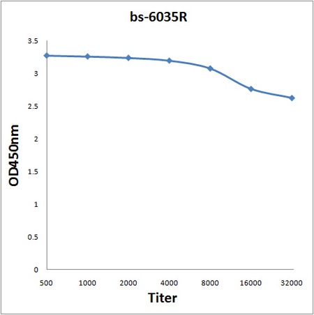 Antigen: bs-6035P, 0.2ug/100ul \nPrimary: Antiserum, 1:500, 1:1000, 1:2000, 1:4000, 1:8000, 1:16000, 1:32000; \nSecondary: HRP conjugated Goat Anti-Rabbit IgG(bs-0295G-HRP) at 1: 5000; \nTMB staining; Read the data in Microplate Reader by 450nm\n