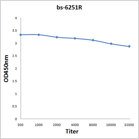 Antigen: bs-6251P, 0.2ug/100ul \nPrimary: Antiserum, 1:500, 1:1000, 1:2000, 1:4000, 1:8000, 1:16000, 1:32000; \nSecondary: HRP conjugated Goat Anti-Rabbit IgG(bs-0295G-HRP) at 1: 5000; \nTMB staining; Read the data in Microplate Reader by 450nm\n