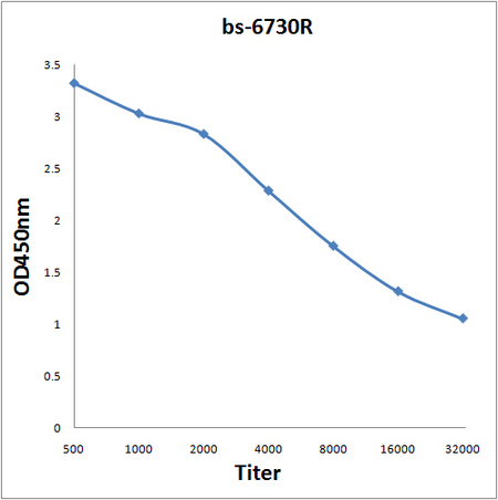 Antigen: bs-6730P, 0.2ug/100ul \nPrimary: Antiserum, 1:500, 1:1000, 1:2000, 1:4000, 1:8000, 1:16000, 1:32000; \nSecondary: HRP conjugated Goat Anti-Rabbit IgG(bs-0295G-HRP) at 1: 5000; \nTMB staining; Read the data in Microplate Reader by 450nm\n