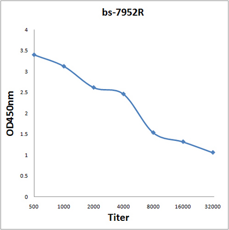 Antigen: bs-7952P, 0.2ug/100ul \nPrimary: Antiserum, 1:500, 1:1000, 1:2000, 1:4000, 1:8000, 1:16000, 1:32000; \nSecondary: HRP conjugated Goat Anti-Rabbit IgG(bs-0295G-HRP) at 1: 5000; \nTMB staining; \nRead the data in MicroplateReader by 450nm. \n