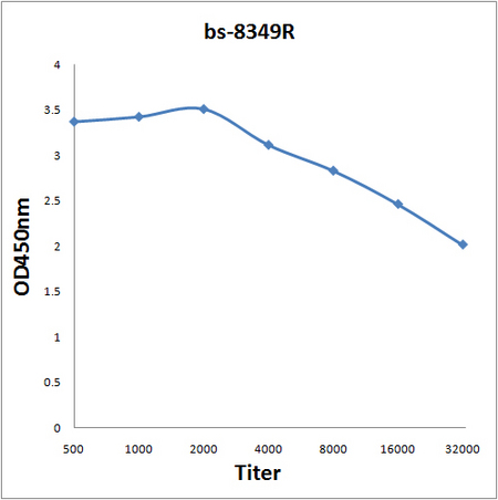 Antigen: bs-8349P, 2ug/100ul \nPrimary: Antiserum, 1:500, 1:1000, 1:2000, 1:4000, 1:8000, 1:16000, 1:32000; \nSecondary: HRP conjugated Rabbit Anti-Goat IgG(bs-0294R-HRP) at 1: 5000; \nTMB staining\nRead the data in Microplate Reader by 450nm. \n