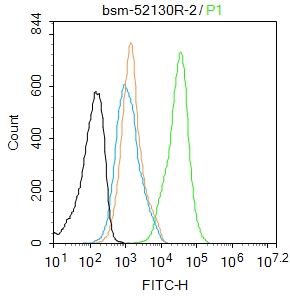 MCF7 cells (black) were fixed with 4% PFA for 10min at room temperature, permeabilized with 90% ice-cold methanol for 20 min at -20℃, and incubated in 5% BSA blocking buffer for 30 min at room temperature. Cells were then stained with Akt1 (Ser473) (12A1) Monoclonal Antibody (bsm-52130R) at 1:50 dilution in blocking buffer and incubated for 30 min at room temperature, washed twice with 2%BSA in PBS, followed by secondary antibody(blue) incubation for 40 min at room temperature. Acquisitions of 20,000 events were performed. Cells stained with primary antibody (green), and isotype control (orange).