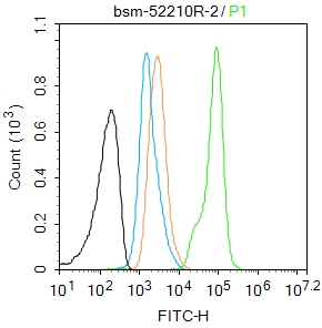 A431 cells(black) were fixed with 4% PFA for 10min at room temperature,permeabilized with 90% ice-cold methanol for 20 min at -20℃, and incubated in 5% BSA blocking buffer for 30 min at room temperature. Cells were then stained with STAT3(S727) (4G1) Monoclonal Antibody(bsm-52210R)at 1:50 dilution in blocking buffer and incubated for 30 min at room temperature, washed twice with 2%BSA in PBS, followed by secondary antibody(blue) incubation for 40 min at room temperature. Acquisitions of 20,000 events were performed. Cells stained with primary antibody (green), and isotype control (orange).