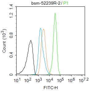A431 cells(black) were fixed with 4% PFA for 10min at room temperature,permeabilized with 90% ice-cold methanol for 20 min at -20℃, and incubated in 5% BSA blocking buffer for 30 min at room temperature. Cells were then stained with STAT6 Antibody(bsm-52239R)at 1:50 dilution in blocking buffer and incubated for 30 min at room temperature, washed twice with 2%BSA in PBS, followed by secondary antibody(blue) incubation for 40 min at room temperature. Acquisitions of 20,000 events were performed. Cells stained with primary antibody (green), and isotype control (orange).