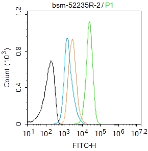 A431 cells(black) were fixed with 4% PFA for 10min at room temperature,permeabilized with 90% ice-cold methanol for 20 min at -20℃, and incubated in 5% BSA blocking buffer for 30 min at room temperature. Cells were then stained with Stat3 Antibody(bsm-52235R)at 1:50 dilution in blocking buffer and incubated for 30 min at room temperature, washed twice with 2%BSA in PBS, followed by secondary antibody(blue) incubation for 40 min at room temperature. Acquisitions of 20,000 events were performed. Cells stained with primary antibody (green), and isotype control (orange).