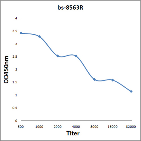Antigen: bs-8563P, 2ug/100ul \nPrimary: Antiserum, 1:500, 1:1000, 1:2000, 1:4000, 1:8000, 1:16000, 1:32000; \nSecondary: HRP conjugated Rabbit Anti-Goat IgG(bs-0294R-HRP) at 1: 5000; \nTMB staining\nRead the data in Microplate Reader by 450nm. \n