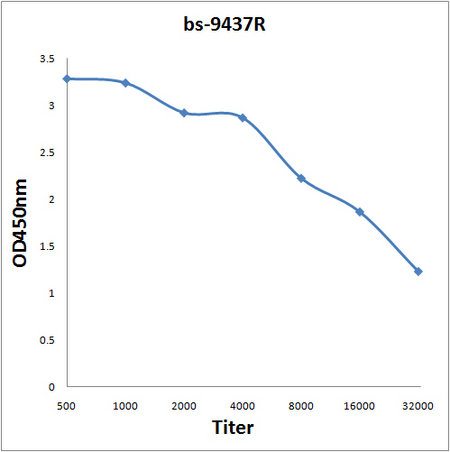 Antigen: bs-9437P, 2ug/100ul \nPrimary: Antiserum, 1:500, 1:1000, 1:2000, 1:4000, 1:8000, 1:16000, 1:32000; \nSecondary: HRP conjugated Rabbit Anti-Goat IgG(bs-0294R-HRP) at 1: 5000; \nTMB staining\nRead the data in Microplate Reader by 450nm. \n