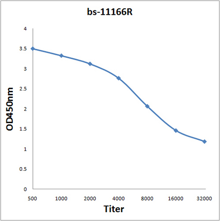 Antigen: bs-11166P, 2ug/100ul \nPrimary: Antiserum, 1:500, 1:1000, 1:2000, 1:4000, 1:8000, 1:16000, 1:32000; \nSecondary: HRP conjugated Rabbit Anti-Goat IgG(bs-0294R-HRP) at 1: 5000; \nTMB staining\nRead the data in Microplate Reader by 450nm. \n