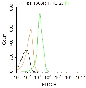 MCF7 cells were fixed with 4% PFA for 10min at room temperature,permeabilized with 90% ice-cold methanol for 20 min at -20℃ and incubated in 5% BSA blocking buffer for 30 min at room temperature. Cells were then stained with AIF1 Polyclonal Antibody(bs-1363R-FITC)at 1:50 dilution in blocking buffer and incubated for 30 min at room temperature, washed twice with 2%BSA in PBS. Acquisitions of 20,000 events were performed. Cells stained with primary antibody (green), and isotype control (orange).