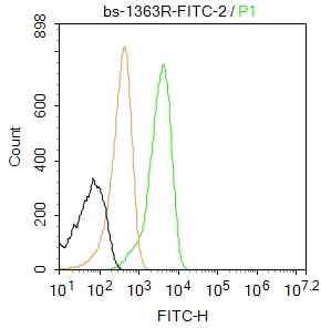 MCF7 cells were fixed with 4% PFA for 10min at room temperature,permeabilized with 0.1% PBST for 20 min at room temperature, and incubated in 5% BSA blocking buffer for 30 min at room temperature. Cells were then stained with AIF1 Polyclonal Antibody(bs-1363R-FITC)at 1:50 dilution in blocking buffer and incubated for 30 min at room temperature, washed twice with 2%BSA in PBS. Acquisitions of 20,000 events were performed. Cells stained with primary antibody (green), and isotype control (orange).