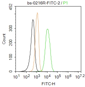 Raw264.7 cells were fixed with 4% PFA for 10min at room temperature,permeabilized with 90% ice-cold methanol for 20 min at -20℃, and incubated in 5% BSA blocking buffer for 30 min at room temperature. Cells were then stained with Fas Ligand Polyclonal Antibody(bs-0216R-FITC)at 1:50 dilution in blocking buffer and incubated for 30 min at room temperature, washed twice with 2%BSA in PBS. Acquisitions of 20,000 events were performed. Cells stained with primary antibody (green), and isotype control (orange).