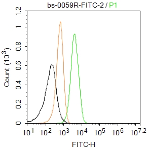 U937 cells were fixed with 4% PFA for 10min at room temperature,permeabilized with 0.1% PBST for 20 min at room temperature, and incubated in 5% BSA blocking buffer for 30 min at room temperature. Cells were then stained with APAF1 Polyclonal Antibody(bs-0059R-FITC)at 1:50 dilution in blocking buffer and incubated for 30 min at room temperature, washed twice with 2%BSA in PBS. Acquisitions of 20,000 events were performed. Cells stained with primary antibody (green), and isotype control (orange).