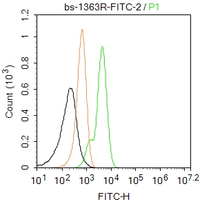 U937 cells were fixed with 4% PFA for 10min at room temperature,permeabilized with 0.1% PBST for 20 min at room temperature, and incubated in 5% BSA blocking buffer for 30 min at room temperature. Cells were then stained with AIF1 Polyclonal Antibody(bs-1363R-FITC)at 1:50 dilution in blocking buffer and incubated for 30 min at room temperature, washed twice with 2%BSA in PBS. Acquisitions of 20,000 events were performed. Cells stained with primary antibody (green), and isotype control (orange).