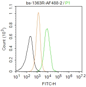 U937 cells were fixed with 4% PFA for 10min at room temperature,permeabilized with 0.1% PBST for 20 min at room temperature, and incubated in 5% BSA blocking buffer for 30 min at room temperature. Cells were then stained with AIF1 Polyclonal Antibody(bs-1363R-AF488)at 1:50 dilution in blocking buffer and incubated for 30 min at room temperature, washed twice with 2%BSA in PBS. Acquisitions of 20,000 events were performed. Cells stained with primary antibody (green), and isotype control (orange).