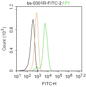 HepG2 cells were fixed with 4% PFA for 10min at room temperature,permeabilized 0.1% PBST  for 20 min at room temperature, and incubated in 5% BSA blocking buffer for 30 min at room temperature. Cells were then stained with Dnmt3b Antibody(bs-0301R-FITC)at 1:50 dilution in blocking buffer and incubated for 30 min at room temperature, washed twice with 2%BSA in PBS. Acquisitions of 20,000 events were performed. Cells stained with primary antibody (green), and isotype control (orange).