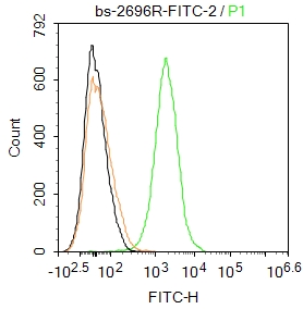 Mouse spleen cells were fixed with 4% PFA for 10min at room temperature,permeabilized with 90% ice-cold methanol for 20 min at -20℃, and incubated in 5% BSA blocking buffer for 30 min at room temperature. Cells were then stained with S100A8 Polyclonal Antibody(bs-2696R-FITC)at 1:50 dilution in blocking buffer and incubated for 30 min at room temperature, washed twice with 2%BSA in PBS. Acquisitions of 20,000 events were performed. Cells stained with primary antibody (green), and isotype control (orange).