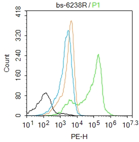 K562 cells were fixed with 4% PFA for 10min at room temperature,permeabilized with 0.1% PBST for 20 min at room temperature, and incubated in 5% BSA blocking buffer for 30 min at room temperature. Cells were then stained with S100A7 Antibody(bs-6238R)at 1:50 dilution in blocking buffer and incubated for 30 min at room temperature, washed twice with 2%BSA in PBS, followed by secondary antibody incubation for 40 min at room temperature. Acquisitions of 20,000 events were performed. Cells stained with primary antibody (green), and isotype control (orange).
