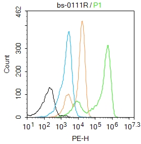 K562 cells were fixed with 4% PFA for 10min at room temperature,permeabilized with 0.1% PBST  for 20 min at room temperature, and incubated in 5% BSA blocking buffer for 30 min at room temperature. Cells were then stained with progesterone receptor Antibody(bs-0111R)at 1:50 dilution in blocking buffer and incubated for 30 min at room temperature, washed twice with 2%BSA in PBS, followed by secondary antibody incubation for 40 min at room temperature. Acquisitions of 20,000 events were performed. Cells stained with primary antibody (green), and isotype control (orange).