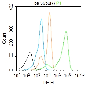 K562 cells were fixed with 4% PFA for 10min at room temperature,permeabilized with 90% ice-cold methanol for 20 min at -20℃, and incubated in 5% BSA blocking buffer for 30 min at room temperature. Cells were then stained with HOXB4 Polyclonal Antibody(bs-3650R)at 1:50 dilution in blocking buffer and incubated for 30 min at room temperature, washed twice with 2%BSA in PBS, followed by secondary antibody incubation for 40 min at room temperature. Acquisitions of 20,000 events were performed. Cells stained with primary antibody (green), and isotype control (orange).