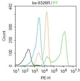 K562 cells were fixed with 4% PFA for 10min at room temperature,permeabilized with 90% ice-cold methanol for 20 min at -20℃, and incubated in 5% BSA blocking buffer for 30 min at room temperature. Cells were then stained with SESN2 Polyclonal Antibody(bs-8326R)at 1:50 dilution in blocking buffer and incubated for 30 min at room temperature, washed twice with 2%BSA in PBS, followed by secondary antibody incubation for 40 min at room temperature. Acquisitions of 20,000 events were performed. Cells stained with primary antibody (green), and isotype control (orange).