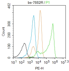 K562 cells were fixed with 4% PFA for 10min at room temperature,permeabilized with 90% ice-cold methanol for 20 min at -20℃, and incubated in 5% BSA blocking buffer for 30 min at room temperature. Cells were then stained with UBE2V1 Polyclonal Antibody(bs-7882R)at 1:50 dilution in blocking buffer and incubated for 30 min at room temperature, washed twice with 2%BSA in PBS, followed by secondary antibody incubation for 40 min at room temperature. Acquisitions of 20,000 events were performed. Cells stained with primary antibody (green), and isotype control (orange).