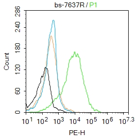 K562 cells were incubated in 5% BSA blocking buffer for 30 min at room temperature. Cells were then stained with ICAM4 Polyclonal Antibody(bs-7637R)at 1:50 dilution in blocking buffer and incubated for 30 min at room temperature, washed twice with 2%BSA in PBS, followed by secondary antibody incubation for 40 min at room temperature. Acquisitions of 20,000 events were performed. Cells stained with primary antibody (green), and isotype control (orange).
