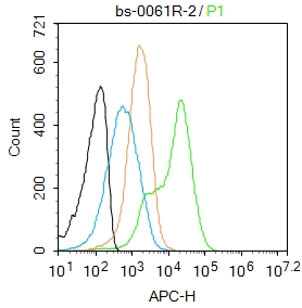 Mouse spleen cells were fixed with 4% PFA for 10min at room temperature,permeabilized with 90% ice-cold methanol for 20 min at -20℃, and incubated in 5% BSA blocking buffer for 30 min at room temperature. Cells were then stained with beta Actin Polyclonal Antibody(bs-0061R)at 1:50 dilution in blocking buffer and incubated for 30 min at room temperature, washed twice with 2%BSA in PBS, followed by secondary antibody incubation for 40 min at room temperature. Acquisitions of 20,000 events were performed. Cells stained with primary antibody (green), and isotype control (orange).