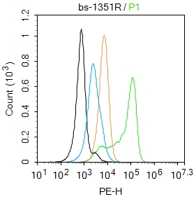 U-937 cells were fixed with 4% PFA for 10min at room temperature,permeabilized with 0.1% PBST for 20 min at room temperature, and incubated in 5% BSA blocking buffer for 30 min at room temperature. Cells were then stained with Granzyme B Antibody(bs-1351R)at 1:50 dilution in blocking buffer and incubated for 30 min at room temperature, washed twice with 2%BSA in PBS, followed by secondary antibody incubation for 40 min at room temperature. Acquisitions of 20,000 events were performed. Cells stained with primary antibody (green), and isotype control (orange).