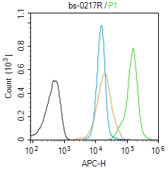 Molt-4 cells(black) were fixed with 4% PFA for 10min at room temperature,permeabilized with 90% ice-cold methanol for 20 min at -20℃, and incubated in 5% BSA blocking buffer for 30 min at room temperature. Cells were then stained with bFGF Antibody(bs-0127R)at 1:50 dilution in blocking buffer and incubated for 30 min at room temperature, washed twice with 2% BSA in PBS, followed by secondary antibody(blue) incubation for 40 min at room temperature. Acquisitions of 20,000 events were performed. Cells stained with primary antibody (green), and isotype control (orange).