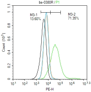 A549 cells(black) were fixed with 4% PFA for 10min at room temperature,permeabilized with 90% ice-cold methanol for 20 min at -20℃, and incubated in 5% BSA blocking buffer for 30 min at room temperature. Cells were then stained with MBP Antibody(bs-0380R)at 1:50 dilution in blocking buffer and incubated for 30 min at room temperature, washed twice with 2% BSA in PBS, followed by secondary antibody(blue) incubation for 40 min at room temperature. Acquisitions of 20,000 events were performed. Cells stained with primary antibody (green), and isotype control (orange).