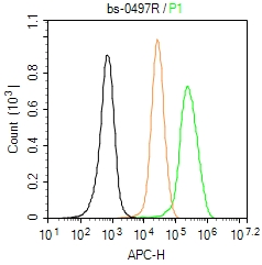 U-87MG cells(black) were fixed with 4% PFA for 10min at room temperature,permeabilized with 90% ice-cold methanol for 20 min at -20℃, and incubated in 5% BSA blocking buffer for 30 min at room temperature. Cells were then stained with Dnmt3a Antibody(bs-R)at 1:500 dilution in blocking buffer and incubated for 30 min at room temperature, washed twice with 2% BSA in PBS, followed by secondary antibody(blue) incubation for 40 min at room temperature. Acquisitions of 20,000 events were performed. Cells stained with primary antibody (green), and isotype control (orange).