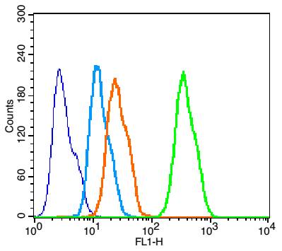 HepG2 cells(black) were fixed with 4% PFA for 10min at room temperature,permeabilized with 90% ice-cold methanol for 20 min at -20℃, and incubated in 5% BSA blocking buffer for 30 min at room temperature. Cells were then stained with P38 MAPK Polyclonal Antibody(bs-0637R)at 1:50 dilution in blocking buffer and incubated for 30 min at room temperature, washed twice with 2% BSA in PBS, followed by secondary antibody(blue) incubation for 40 min at room temperature. Acquisitions of 20,000 events were performed. Cells stained with primary antibody (green), and isotype control (orange).