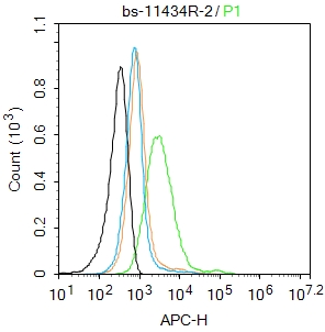 U2-OS cells(black) were incubated in 5% BSA blocking buffer for 30 min at room temperature. Cells were then stained with MOT8/SLC16A2 Polyclonal Antibody(bs-11434R)at 1:50 dilution in blocking buffer and incubated for 30 min at room temperature, washed twice with 2% BSA in PBS, followed by secondary antibody(blue) incubation for 40 min at room temperature. Acquisitions of 20,000 events were performed. Cells stained with primary antibody (green), and isotype control (orange).