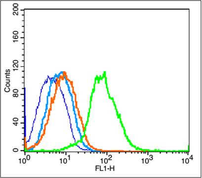 Mouse Spleen cells(black) were incubated in 5% BSA blocking buffer for 30 min at room temperature. Cells were then stained with CXCR4 (Ser339) Polyclonal Antibody(bs-12256R)at 1:50 dilution in blocking buffer and incubated for 30 min at room temperature, washed twice with 2% BSA in PBS, followed by secondary antibody(blue) incubation for 40 min at room temperature. Acquisitions of 20,000 events were performed. Cells stained with primary antibody (green), and isotype control (orange).
