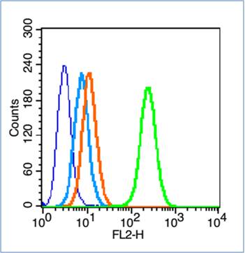 HL-60 cells(black) were incubated in 5% BSA blocking buffer for 30 min at room temperature. Cells were then stained with _x000D_ HFE/Hemochromatosis Polyclonal Antibody(bs-12335R)at 1:50 dilution in blocking buffer and incubated for 30 min at room temperature, washed twice with 2% BSA in PBS, followed by secondary antibody(blue) incubation for 40 min at room temperature. Acquisitions of 20,000 events were performed. Cells stained with primary antibody (green), and isotype control (orange).
