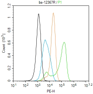 A549 cells(black) were fixed with 4% PFA for 10min at room temperature,permeabilized with 90% ice-cold methanol for 20 min at -20℃, and incubated in 5% BSA blocking buffer for 30 min at room temperature. Cells were then stained with _x000D_ TAZ Polyclonal Antibody(bs-12367R)at 1:50 dilution in blocking buffer and incubated for 30 min at room temperature, washed twice with 2% BSA in PBS, followed by secondary antibody(blue) incubation for 40 min at room temperature. Acquisitions of 20,000 events were performed. Cells stained with primary antibody (green), and isotype control (orange). A549 cells(black) were fixed with 4% PFA for 10min at room temperature,permeabilized with 90% ice-cold methanol for 20 min at -20℃, and incubated in 5% BSA blocking buffer for 30 min at room temperature. Cells were then stained with _x000D_ TAZ Polyclonal Antibody(bs-12367R)at 1:50 dilution in blocking buffer and incubated for 30 min at room temperature, washed twice with 2% BSA in PBS, followed by secondary antibody(blue) incubation for 40 min at room temperature. Acquisitions of 20,000 events were performed. Cells stained with primary antibody (green), and isotype control (orange).