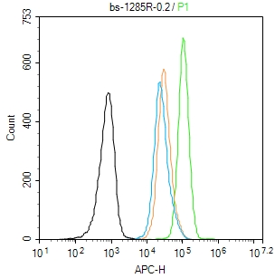 A431 cells(black) were fixed with 4% PFA for 10min at room temperature,permeabilized with 90% ice-cold methanol for 20 min at -20℃, and incubated in 5% BSA blocking buffer for 30 min at room temperature. Cells were then stained with ETS1 Polyclonal Antibody(bs-1285R)at 1:200 dilution in blocking buffer and incubated for 30 min at room temperature, washed twice with 2% BSA in PBS, followed by secondary antibody(blue) incubation for 40 min at room temperature. Acquisitions of 20,000 events were performed. Cells stained with primary antibody (green), and isotype control (orange).