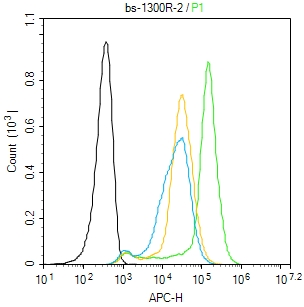 HUVEC cells(black) were fixed with 4% PFA for 10min at room temperature,permeabilized with 0.1% PBST for 20 min at room temperature, and incubated in 5% BSA blocking buffer for 30 min at room temperature. Cells were then stained with _x000D_ TIE2/CD202b Polyclonal Antibody(bs-1300R)at 1:50 dilution in blocking buffer and incubated for 30 min at room temperature, washed twice with 2% BSA in PBS, followed by secondary antibody(blue) incubation for 40 min at room temperature. Acquisitions of 20,000 events were performed. Cells stained with primary antibody (green), and isotype control (orange).