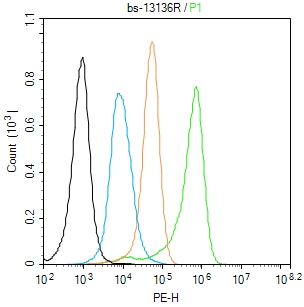 U-937 cells(black) were fixed with 4% PFA for 10min at room temperature,permeabilized with 0.1% PBST for 20 min at room temperature, and incubated in 5% BSA blocking buffer for 30 min at room temperature. Cells were then stained with _x000D_ FAM134B Polyclonal Antibody(bs-13136R)at 1:50 dilution in blocking buffer and incubated for 30 min at room temperature, washed twice with 2% BSA in PBS, followed by secondary antibody(blue) incubation for 40 min at room temperature. Acquisitions of 20,000 events were performed. Cells stained with primary antibody (green), and isotype control (orange).