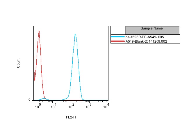 A549 cells(black) were fixed with 4% PFA for 10min at room temperature,permeabilized with 90% ice-cold methanol for 20 min at -20℃, and incubated in 5% BSA blocking buffer for 30 min at room temperature. Cells were then stained with CD63/MLA1 Polyclonal Antibody(bs-1523R)at 1:50 dilution in blocking buffer and incubated for 30 min at room temperature, washed twice with 2% BSA in PBS, followed by secondary antibody(blue) incubation for 40 min at room temperature. Acquisitions of 20,000 events were performed. Cells stained with primary antibody (green), and isotype control (orange).