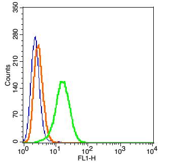 HepG2 cells(black) were incubated in 5% BSA blocking buffer for 30 min at room temperature. Cells were then stained with KCNV2 Antibody(bs-16921R-FITC) at 1:50 dilution in blocking buffer and incubated for 30 min at room temperature, washed twice with 2% BSA in PBS. Acquisitions of 20,000 events were performed. Cells stained with primary antibody (green) and isotype control (orange). HepG2 cells(black) were incubated in 5% BSA blocking buffer for 30 min at room temperature. Cells were then stained with KCNV2 Antibody(bs-16921R-FITC) at 1:50 dilution in blocking buffer and incubated for 30 min at room temperature, washed twice with 2% BSA in PBS. Acquisitions of 20,000 events were performed. Cells stained with primary antibody (green) and isotype control (orange).