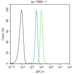 A431 cells(black) were fixed with 4% PFA for 10min at room temperature,permeabilized with 0.1% PBST for 20 min at room temperature, and incubated in 5% BSA blocking buffer for 30 min at room temperature. Cells were then stained with GCK/Glucokinase Polyclonal Antibody(bs-1796R)at 1:50 dilution in blocking buffer and incubated for 30 min at room temperature, washed twice with 2% BSA in PBS, followed by secondary antibody(blue) incubation for 40 min at room temperature. Acquisitions of 20,000 events were performed. Cells stained with primary antibody (green), and isotype control (orange).