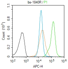 Molt-4 cells(black) were fixed with 4% PFA for 10min at room temperature,permeabilized with 90% ice-cold methanol for 20 min at -20℃, and incubated in 5% BSA blocking buffer for 30 min at room temperature. Cells were then stained with Lamin B1 Polyclonal Antibody(bs-1840R)at 1:50 dilution in blocking buffer and incubated for 30 min at room temperature, washed twice with 2% BSA in PBS, followed by secondary antibody(blue) incubation for 40 min at room temperature. Acquisitions of 20,000 events were performed. Cells stained with primary antibody (green), and isotype control (orange).