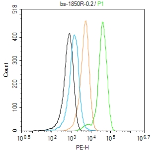 Molt-4 cells(black) were fixed with 4% PFA for 10min at room temperature,permeabilized with 90% ice-cold methanol for 20 min at -20℃, and incubated in 5% BSA blocking buffer for 30 min at room temperature. Cells were then stained with _x000D_ Mineralocorticoid receptor Polyclonal Antibody(bs-1850R)at 1:50 dilution in blocking buffer and incubated for 30 min at room temperature, washed twice with 2% BSA in PBS, followed by secondary antibody(blue) incubation for 40 min at room temperature. Acquisitions of 20,000 events were performed. Cells stained with primary antibody (green), and isotype control (orange).