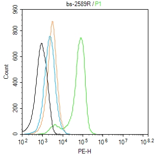 Molt-4 cells(black) were fixed with 4% PFA for 10min at room temperature,permeabilized with 0.1% PBST for 20 min at room temperature, and incubated in 5% BSA blocking buffer for 30 min at room temperature. Cells were then stained with _x000D_ Cytochrome P450 1A2 Polyclonal Antibody(bs-2589R)at 1:50 dilution in blocking buffer and incubated for 30 min at room temperature, washed twice with 2% BSA in PBS, followed by secondary antibody(blue) incubation for 40 min at room temperature. Acquisitions of 20,000 events were performed. Cells stained with primary antibody (green), and isotype control (orange).