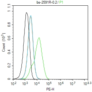 A549 cells(black) were fixed with 4% PFA for 10min at room temperature,permeabilized with 90% ice-cold methanol for 20 min at -20℃, and incubated in 5% BSA blocking buffer for 30 min at room temperature. Cells were then stained with Fbx32 Polyclonal Antibody(bs-2591R)at 1:50 dilution in blocking buffer and incubated for 30 min at room temperature, washed twice with 2% BSA in PBS, followed by secondary antibody(blue) incubation for 40 min at room temperature. Acquisitions of 20,000 events were performed. Cells stained with primary antibody (green), and isotype control (orange).